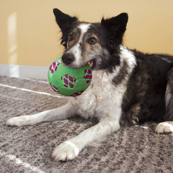 KONG Sneakerz Sport Soccer Ball Dog Toy