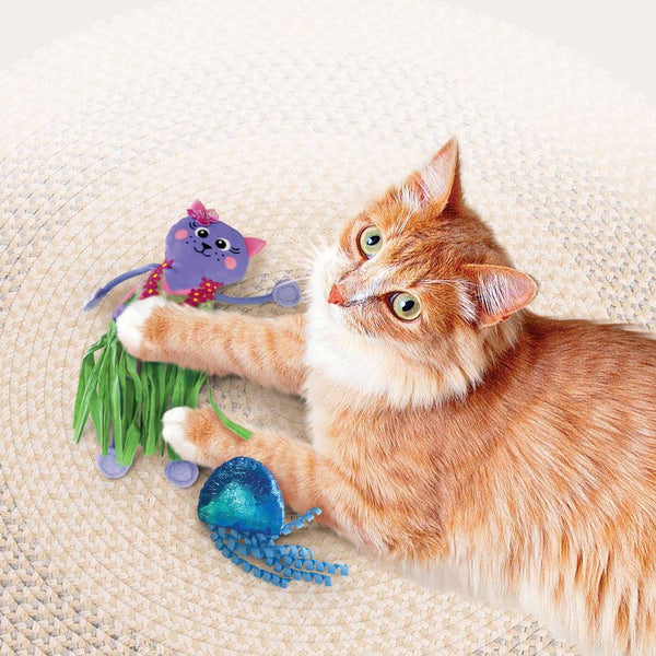 KONG Tropics Hula Cat Toy, 2-pk