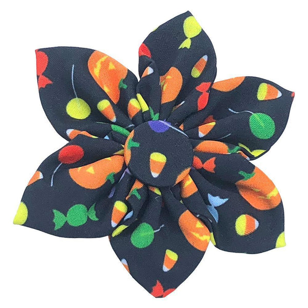 Huxley & Kent Pet Pinwheel, Trick Or Treat