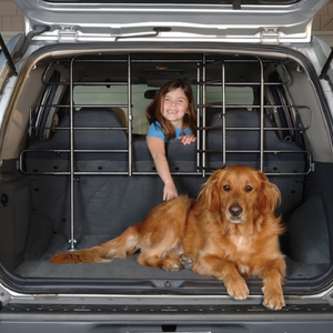 Precision Vehicle Barrier with Door Hammertone