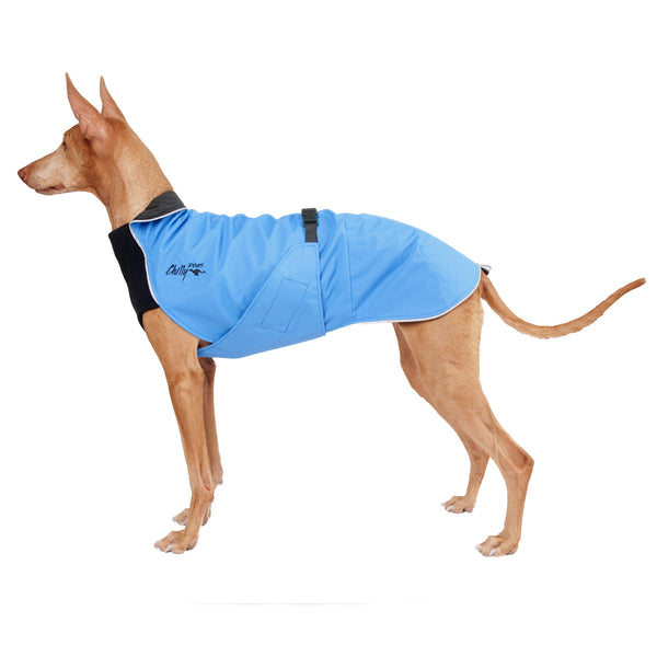 Chilly Dogs Harbour Slicker Dog Raincoat, Blue Jay/ Black Lining