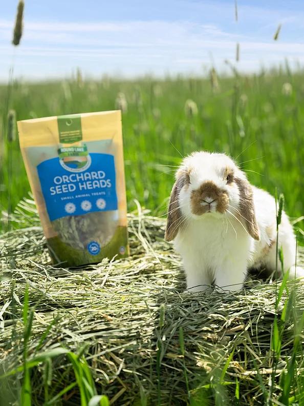Round Lake Farm Products Orchard Seed Heads Small Animal Treats