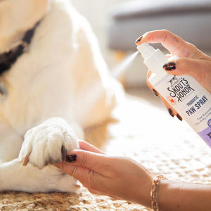 Skout's Honor Probiotic Paw Spray for Pets