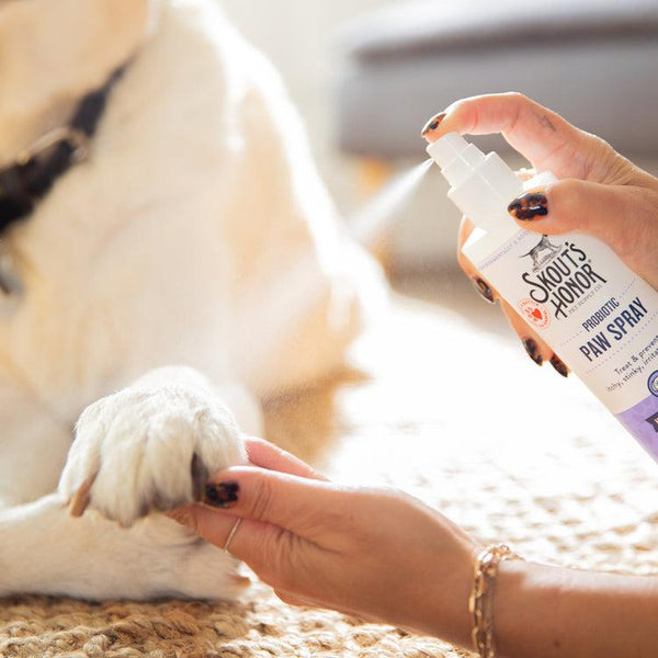 Skout's Honor Probiotic Paw Spray for Pets