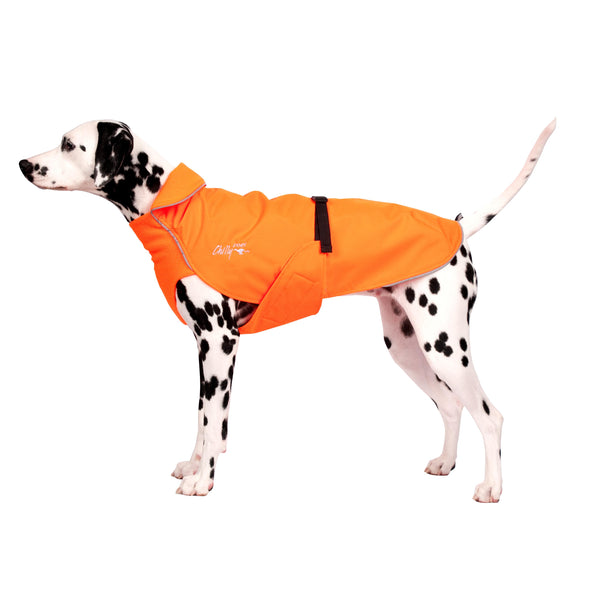 Chilly Dogs Alpine Blazer Dog Coat, Blaze/Blaze Micro Fleece