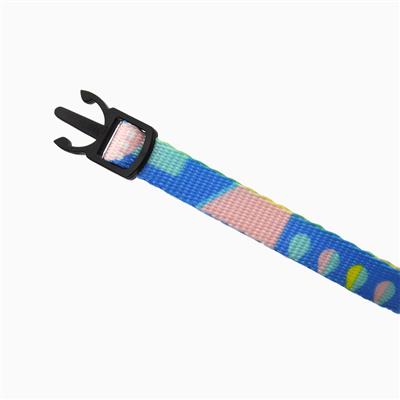 HugSmart Vancouver City Impression Cat Collar