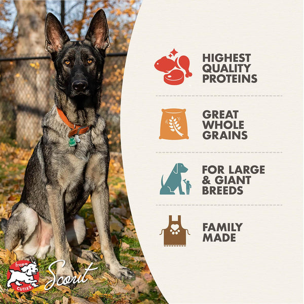 Fromm Family Gold Large Breed Adult Dry Dog Food