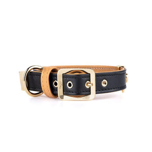 MyFamily Hermitage Gold Genuine Leather Dog Collar, Black/Ochre