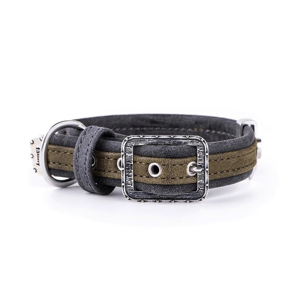 MyFamily London Leatherette Dog Collar, Green