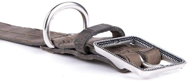 MyFamily Tucson Crocodile Texture Collier pour chien en cuir, gris