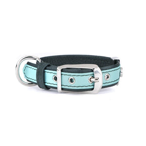 MyFamily Firenze Leather Dog Collar, Aqua