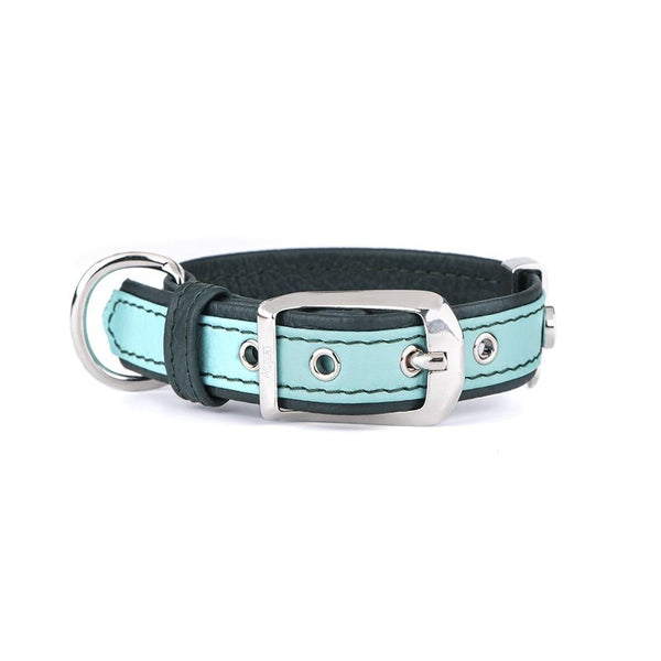 MyFamily Firenze Collier pour chien en cuir, vert clair/vert