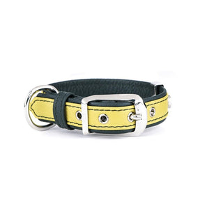 MyFamily Firenze Leather Dog Collar, Lime