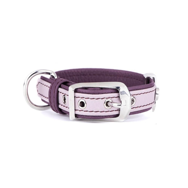 MyFamily Firenze Collier pour chien en cuir, rose/violet