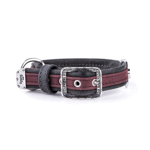 MyFamily London Leatherette Dog Collar, Purple