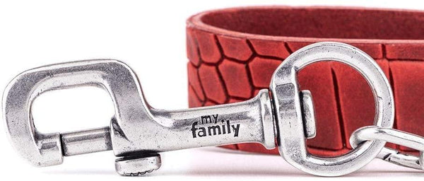 MyFamily Tucson Chain Dog Leash, Red