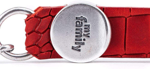 MyFamily Tucson Chain Dog Leash, Red
