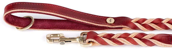 MyFamily Ascot Greased Leather Dog Leash, Red