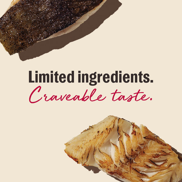 The Honest Kitchen Smittens Bites White Fish Cat Treats