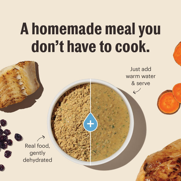 The Honest Kitchen Chicken Grain-Free Dehydrated Cat Food