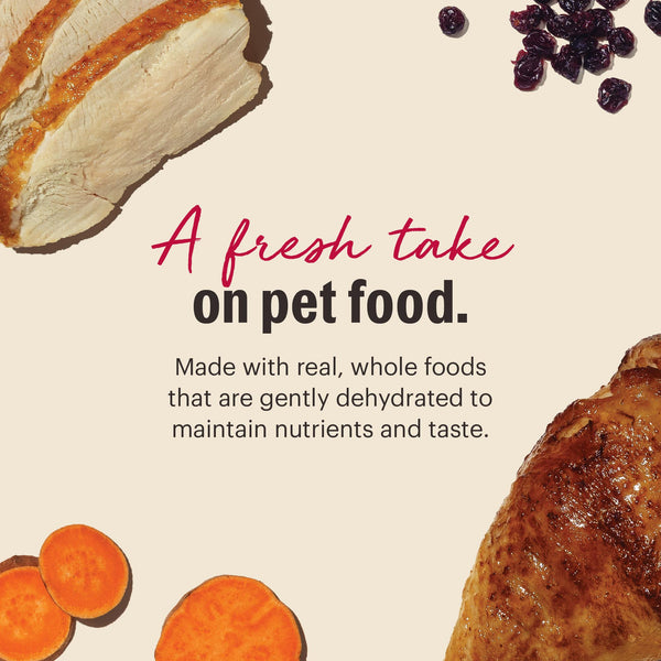 The Honest Kitchen Turkey Grain-Free Dehydrated Cat Food