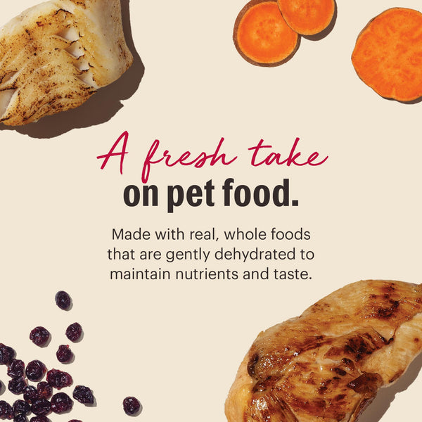 The Honest Kitchen Chicken & Fish Grain-Free Dehydrated Cat Food