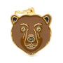 MyFamily Wild Bear Pet ID Tag, Medium