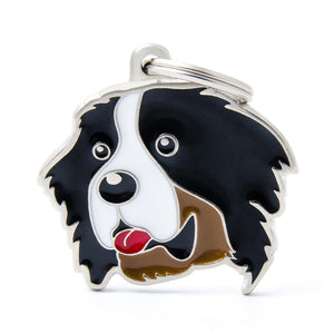 MyFamily Friends Berner Pet ID Tag, Medium