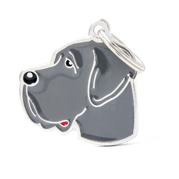 MyFamily Friends Great Dane Pet ID Tag, Blue, Medium