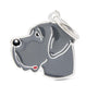 MyFamily Friends Great Dane Pet ID Tag, Blue, Medium