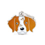 MyFamily Friends Brittany Pet ID Tag, Medium