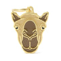 MyFamily Wild Camel Pet ID Tag, Medium