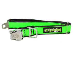 Cycle Dog Collar with Plastic Buckle for Dogs, Green MAX Reflective