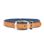 Circle T Double-Ply Fashion Leather Dog Collar, Tan & Navy