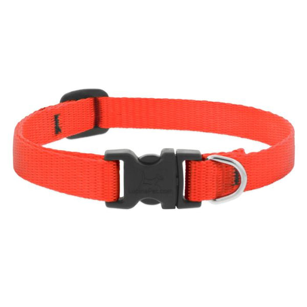 Lupine Pet Basic Solids Adjustable Dog Collar, Blaze Orange