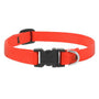 Lupine Pet Basic Solids Adjustable Dog Collar, Blaze Orange