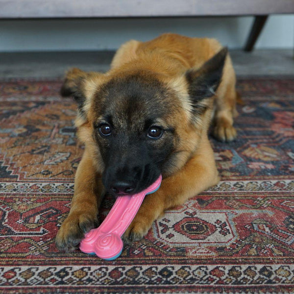 KONG ChewStix Puppy Curve Bone Dog Toy