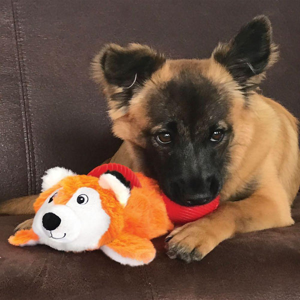 KONG Cozie Pocketz Fox Dog Toy