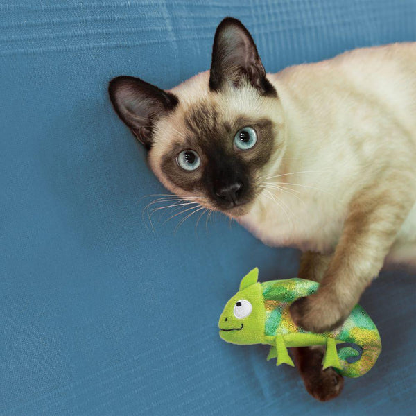 KONG Refillables Caméléon Jouet pour Chat