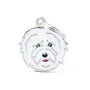 MyFamily Friends Coton De Tulear Pet ID Tag, Medium