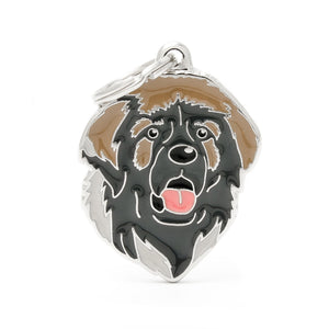 MyFamily Friends Leonberger Pet ID Tag, Medium