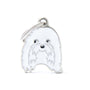 MyFamily Friends Maltese Pet ID Tag, Medium