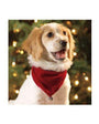 Outward Hound Holiday Pet Bandana