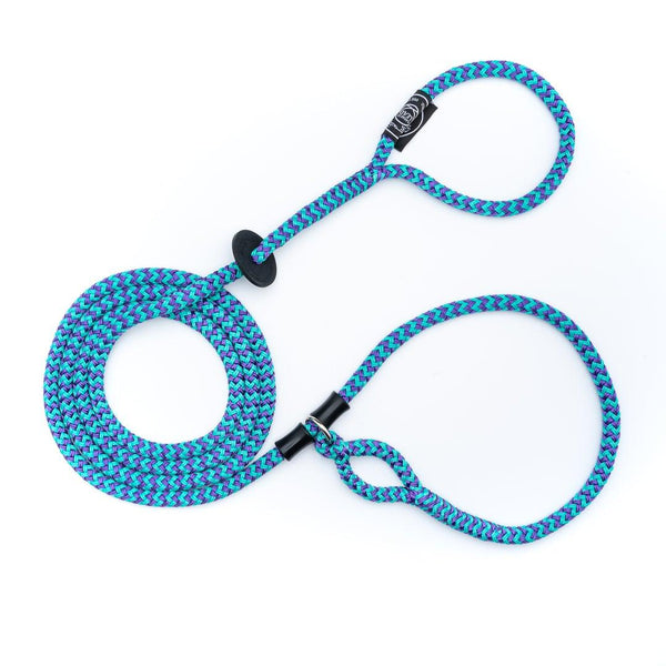 Harness Lead Harnais et laisse pour chiens, Violet Vaporwave/Turquoise
