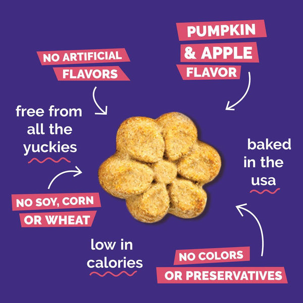 Fruitables Pumpkin & Apple Dog Treats