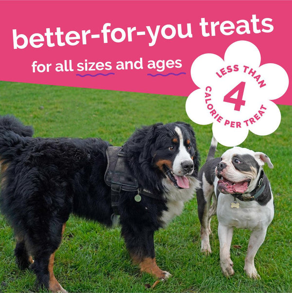 Fruitables Skinny Minis Grilled Bison Dog Treats