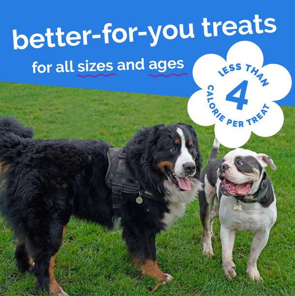 Fruitables Skinny Minis Pumpkin & Berry Dog Treats