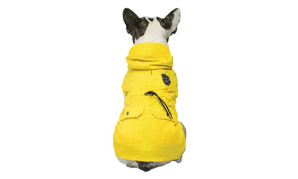 Canada Pooch West Coastal Dog Raincoat, Yellow