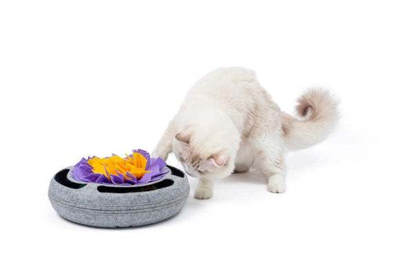 Injoya Puzzle Snuffle Cat Toy, Grey
