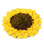 Injoya Sunflower Snuffle Mat Dog Toy